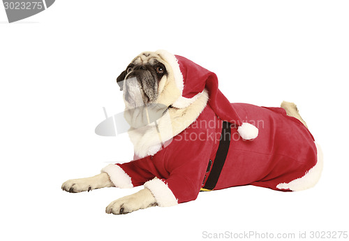 Image of pug in santa costume lying