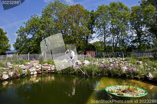 Image of garden pond artificial
