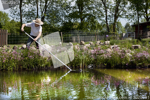 Image of gardener with straw hat cleans pond, gaertner mit strohhut reini