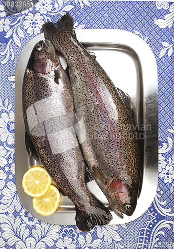 Image of Two fresh rainbow trouts on a stainless steel tray