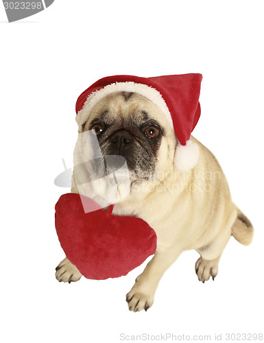 Image of pug santa claus cap