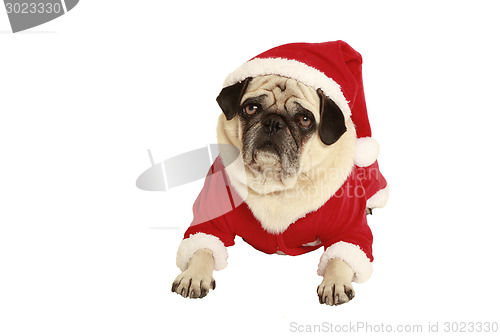 Image of pug in santa claus costume lying