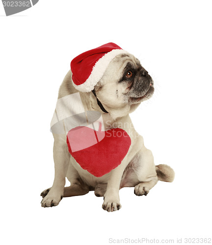 Image of dog with hat and heart