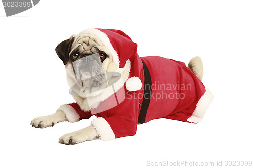 Image of pug in santa costume lies and looks