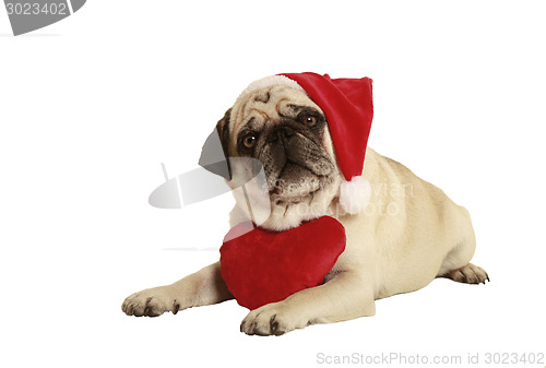 Image of pug santa claus cap heart