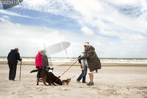 Image of beach walk with dog