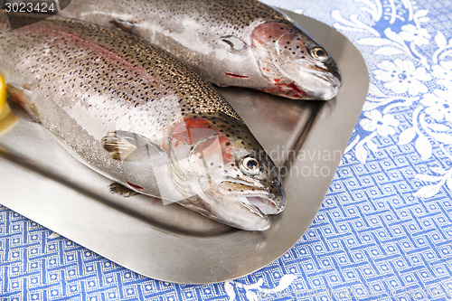 Image of two fresh trout served on a tray