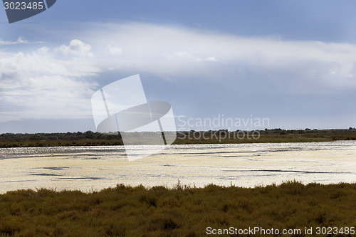 Image of view camarge