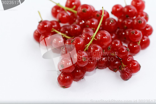 Image of Red currant