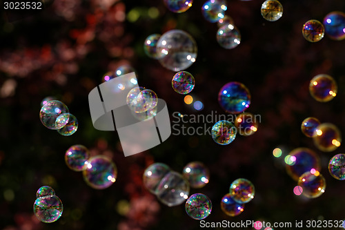 Image of Soap bubbles