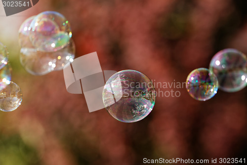 Image of Soap bubbles