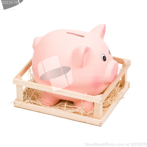 Image of Piggy bank