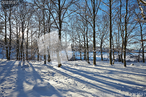 Image of Winter Park