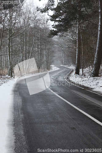 Image of Winter Road