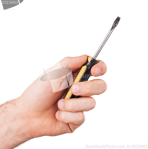 Image of Single slotted screwdriver with plastic grip