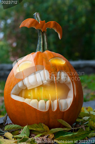 Image of Halloween pumpkin