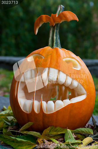 Image of Halloween pumpkin