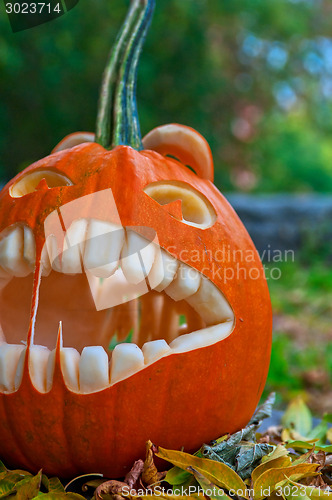 Image of Halloween pumpkin