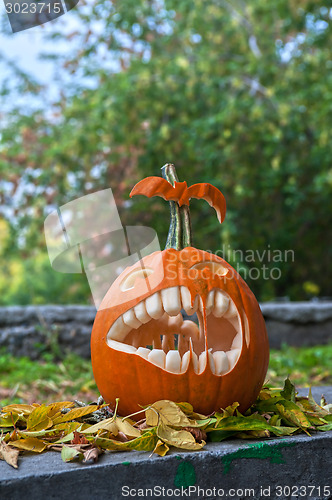 Image of Halloween pumpkin