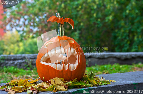 Image of Halloween pumpkin