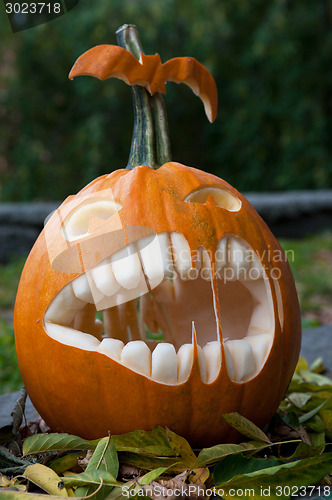 Image of Halloween pumpkin