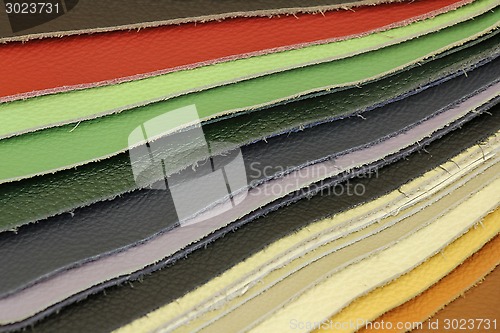 Image of Skin sample for upholstery the furniture