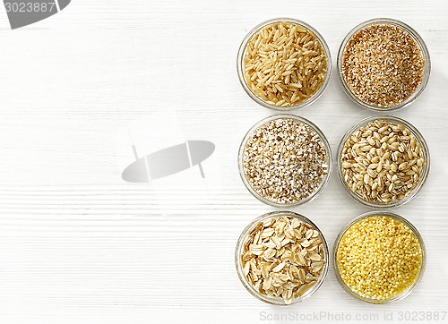 Image of various types of cereal grains