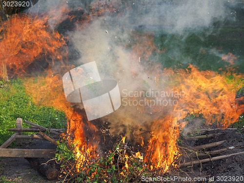 Image of Burning fire