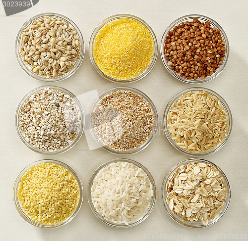 Image of various kinds of cereal grains