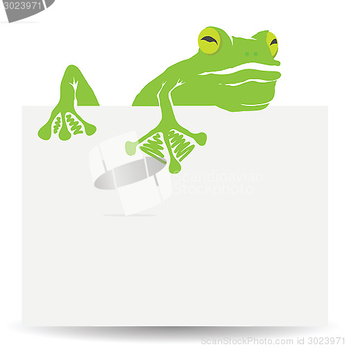 Image of green frog