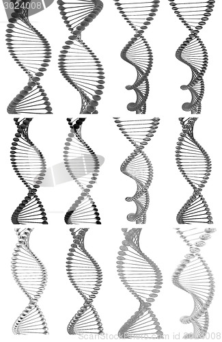 Image of Set of DNA structure model