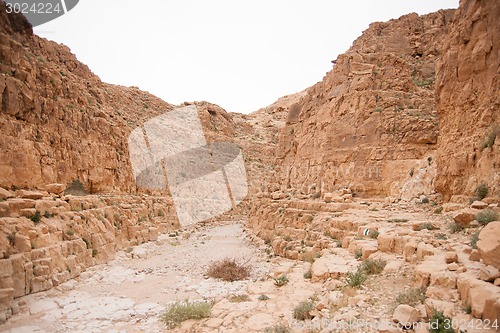 Image of Adventure travel in stone desert of Middle East