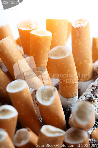 Image of 	Close up of cigarettes