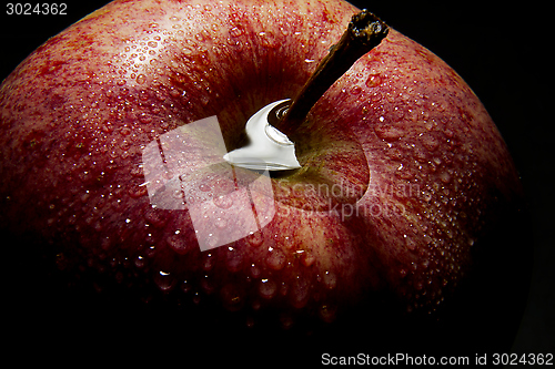 Image of Apple