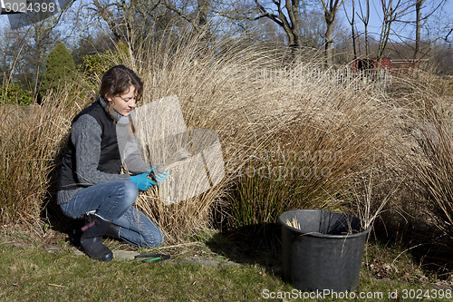 Image of gardening in the spring