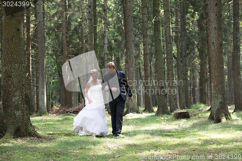 Image of Bridal couple on forest glade