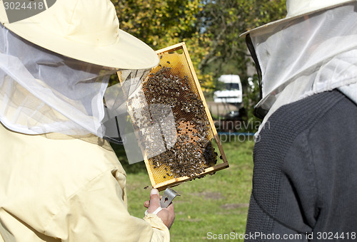 Image of two beekeepers inspect the bees