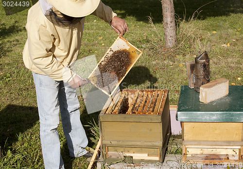 Image of German beekeeping