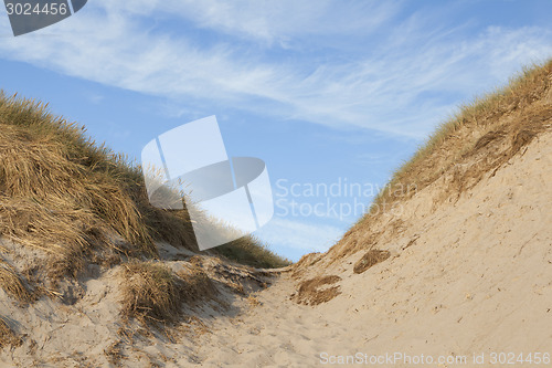 Image of dunes in Denmark