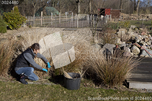 Image of woman cuts grasses