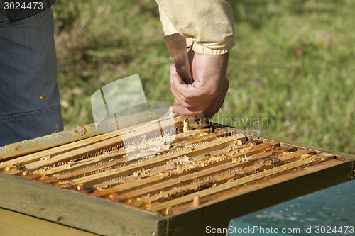 Image of control of the bee hive