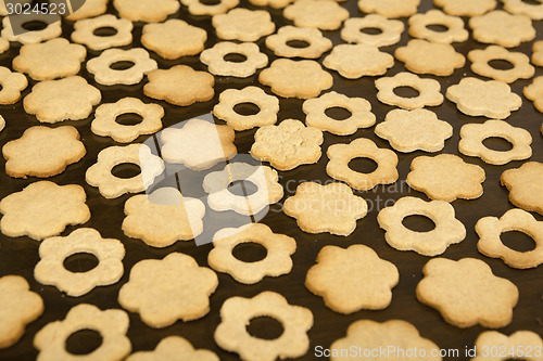 Image of background biscuit