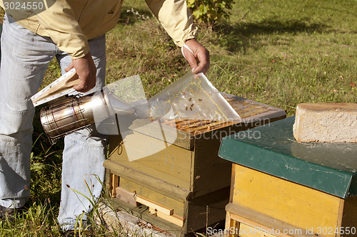 Image of beekeeper with open hive