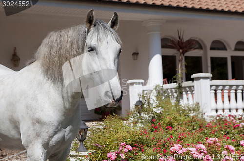 Image of Andalusia Finca ago