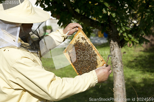 Image of beekeeper inspected hive