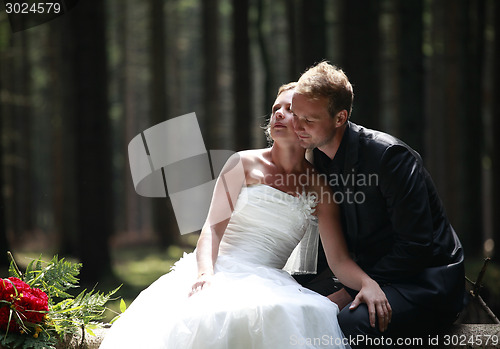 Image of bridal couple in the woods