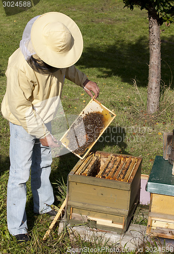 Image of beekeeper from Germany