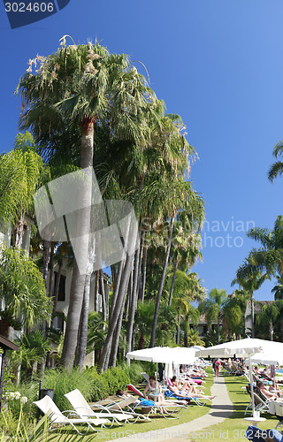 Image of Sun loungers in the club hotel