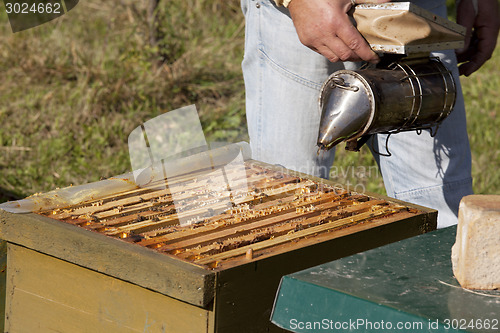 Image of beekeeper with smoker