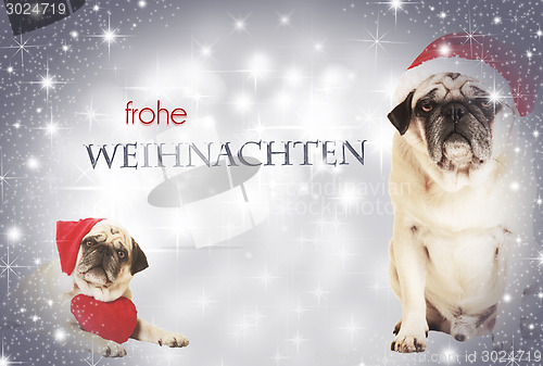 Image of two dogs frohe weihnachten